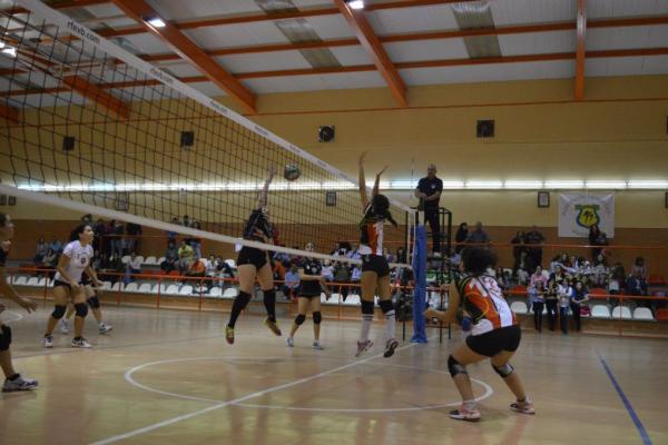 223_20151204_1746903799