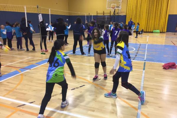 foto_27-1-17_18_27_33_20170128_1306103713