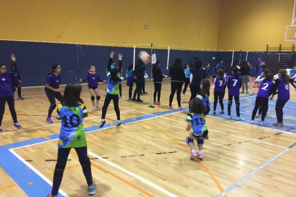 foto_27-1-17_18_28_17_20170128_1133052029