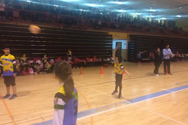 foto_27-1-17_19_15_12_20170128_1808357319