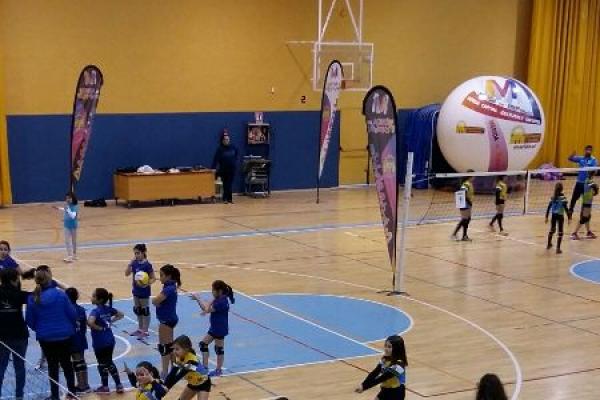 foto_27-1-17_19_34_01_20170128_1836715204