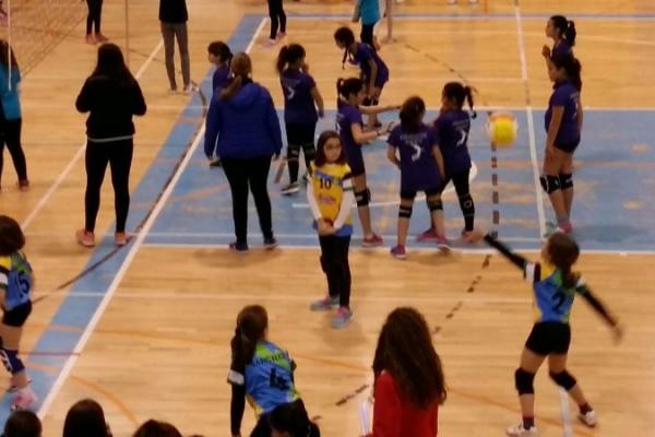 foto_27-1-17_19_34_04_20170128_1758592887