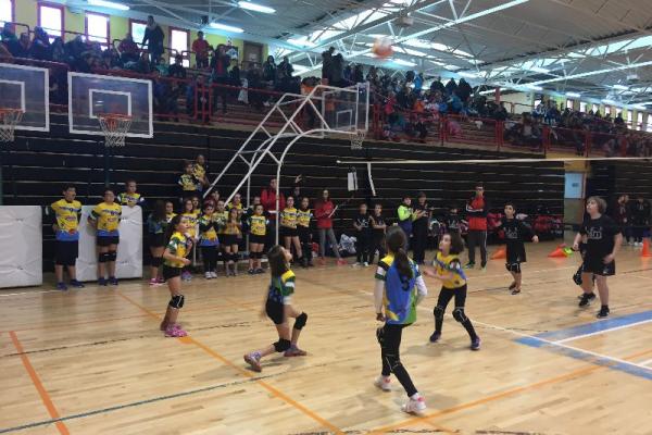 foto_27-1-17_17_34_30_20170128_1452204727