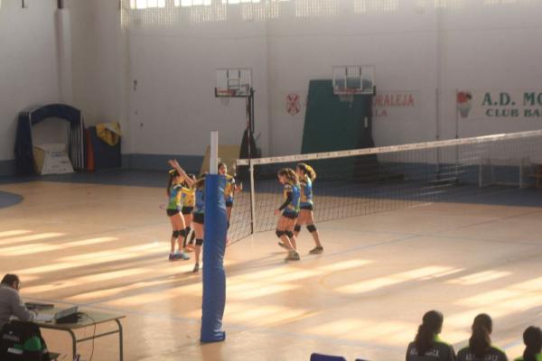 img_0150_20170219_1202416953