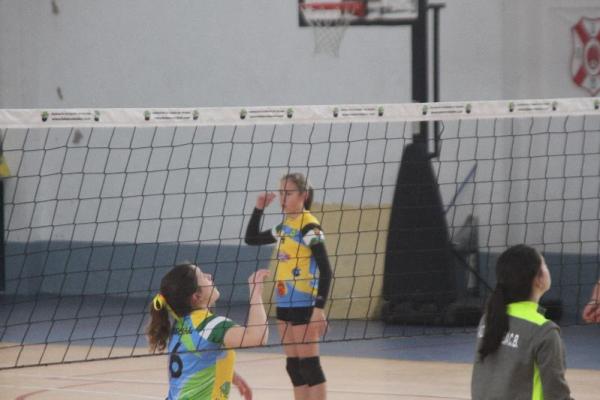 img_0010_20170219_1518370408