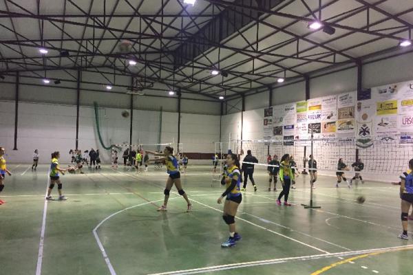 imagen009_20170114_1188503537