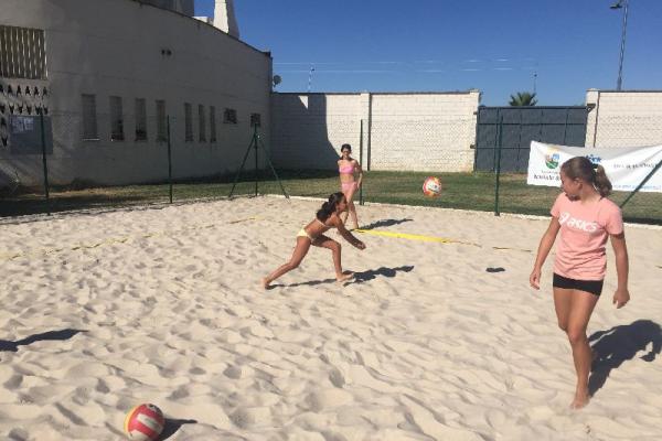 piscivoley_2017_3_6_20170813_1102342398