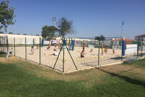 piscivoley_2017_3_9_20170813_1068365514