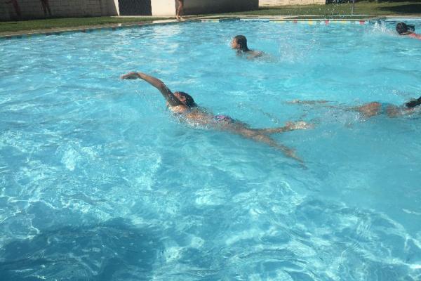 piscivoley_2017_3_15_20170813_1616226218