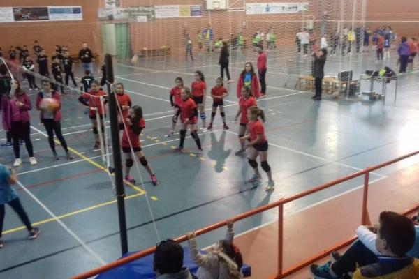 imagen_06_20171202_1681684961