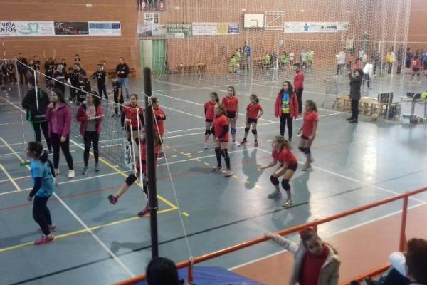 imagen_08_20171202_1140724653