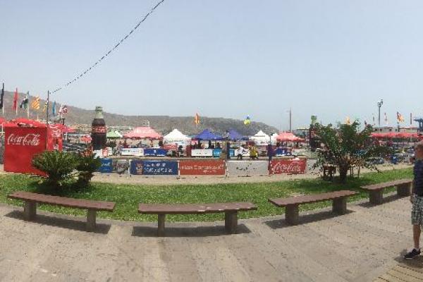 imagen_16_20160723_1126411852